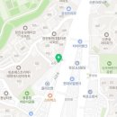 부산고양이분양 그린캣 이미지