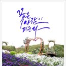 꽃님 이미지