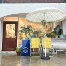 애견패션제작 | 강릉 애견동반 여행 - 메종고니 소품샵에서 내돈내산 소확행