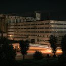 애니셀프 이미지