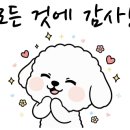 더블유동물병원 이미지