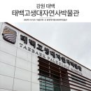 태백고생대자연사박물관 | [강원 태백] 아이와 비 오는 날 딱 좋은 태백고생대자연사박물관