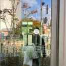 마루콩콩 이미지