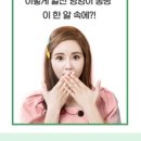 바브네이쳐 이미지