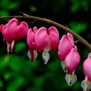 전원농장 이미지