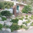 결혼상담 관리사 2급 이미지