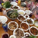 소나무집펜션민박 | 밀양 촌캉스숙소 소나무민박