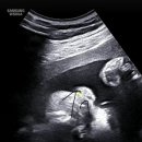 정왕점 기아오토큐 이미지