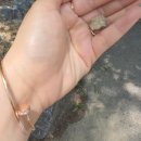 계룡산작은쉼터 민박 | 대전 근교 공주 사찰 계룡산 동학사 방문 후기