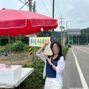 하조대카서비스 | 강원도 여행 강릉 속초 양양 후기