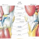 염기룡한의원 이미지