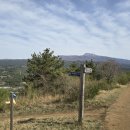 호근새마을금고 이미지