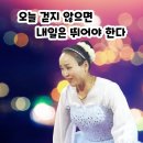 📢 당진 삽교호 (토요일) 공연시간 입니다 이미지