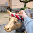 하이디상점 | 후쿠오카 버스투어 예약 유후인 히타 당일치기 여행