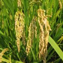 오곡농장 이미지