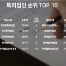 특허법인 코리아나