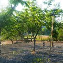 자연펜션캠핑장 이미지