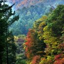 백운산 숲속의 아침 이미지