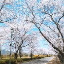 경주민박 이미지