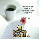 티포트 구한답니다 이미지