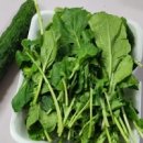 파워마트 이미지