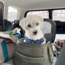 설기설기 이미지