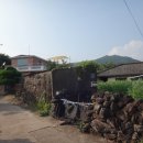 올레벗 게스트하우스 이미지