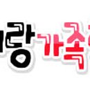 쉐잉 Daum카페