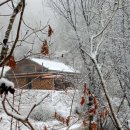 아침농장 이미지