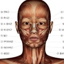 육:굴 이미지