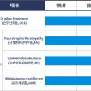 비앤티 이미지