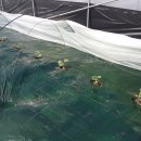 하늘그린(주) 이미지