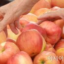엿새할인마트