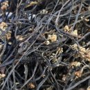 고사리마을회관 이미지