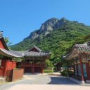 도토리 굴리기 9/20(금) “백양사 산책”