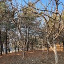 열우물숲공원 이미지