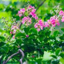 양정1동-28 이미지