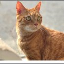 아이조아 요양보호소 경기광주 이미지