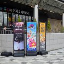 키즈붐붐 | 서울대공원 원더파크 핑크퐁 레인보우미션 팝업 후기｜두돌 아기와 다녀온 실내 체험 (주차·유모차...