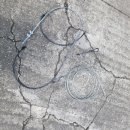 늘푸른카클리닉 이미지