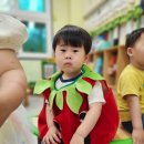 6월 2주-(뮤직오감) 🍅 토마토 축제🍅 이미지