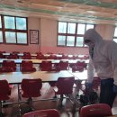 팔마방역