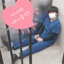 HELP 유기동물 의료센터 이미지