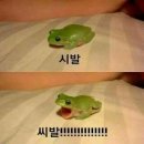키리샵 네이버블로그