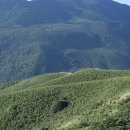 대만스페셜 1 / 스릴넘치는 활화산 양명산 트레킹 풍경 이미지