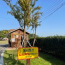 황방산생태야영장 | 울산 캠핑장 1년 만의 추첨당첨, '황방산 생태야영장' 캠핑후기