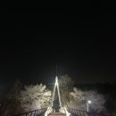 1월 25일(목) 은구비공원+두루봉근린공원 야간하이킹 공지(완전 초보급) 이미지