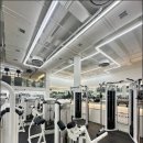 크레이지독스짐 이미지