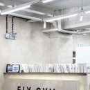 플라이 짐 이미지