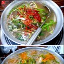 물고기세상 이미지